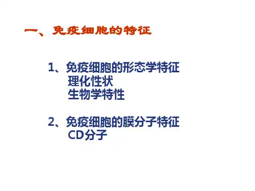 免疫细胞的分离与检测