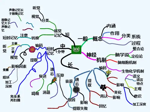 普通心理学 记忆 PPT