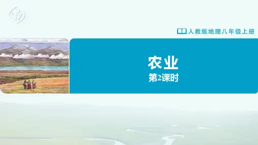 八年级-人教版-地理-上册-第2课时 发展农业要因地制宜 走科技强农之路
