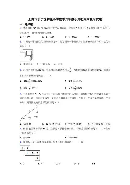 上海市长宁区实验小学数学六年级小升初期末复习试题