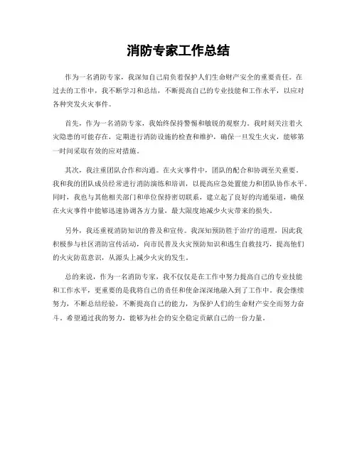 消防专家工作总结