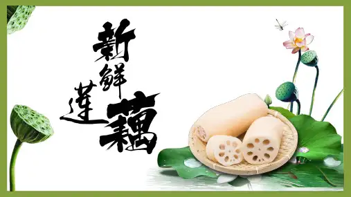 少儿创意美术6--8  莲藕课件