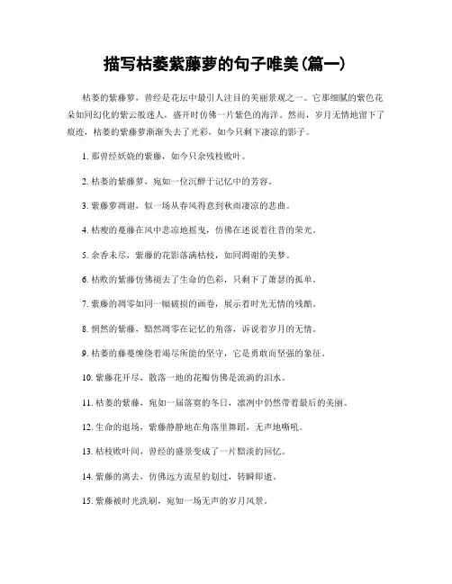 描写枯萎紫藤萝的句子唯美(精选2篇)
