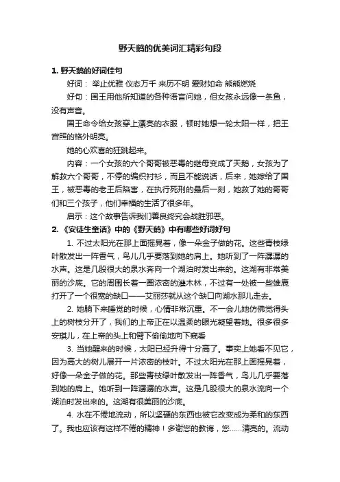 野天鹅的优美词汇精彩句段
