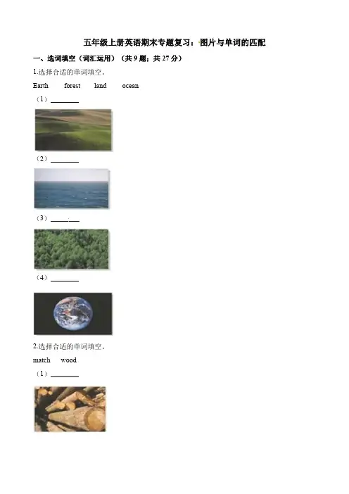 五年级上册英语期末专题复习：图片与单词的匹配 牛津上海版(三起)(含答案)
