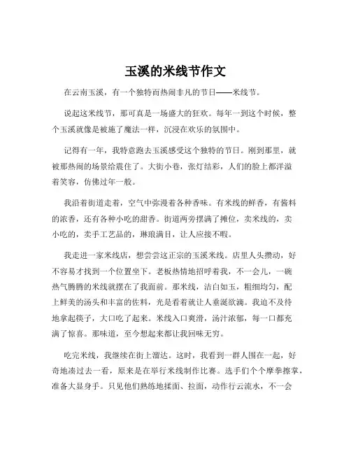 玉溪的米线节作文