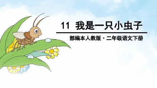 二年级语文下册11.我是一只小虫子公开课课件