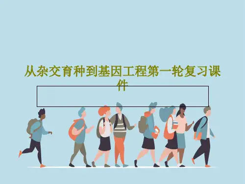 从杂交育种到基因工程第一轮复习课件共74页文档