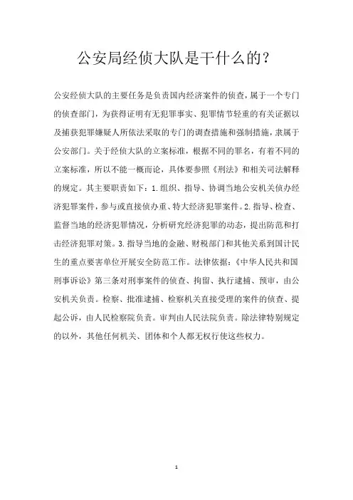 公安局经侦大队是干什么的？