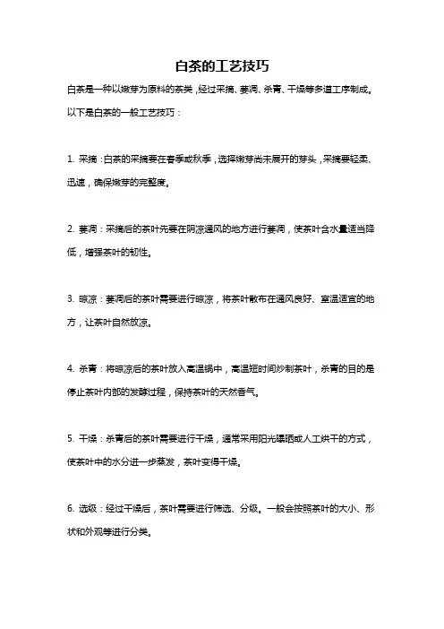 白茶的工艺技巧