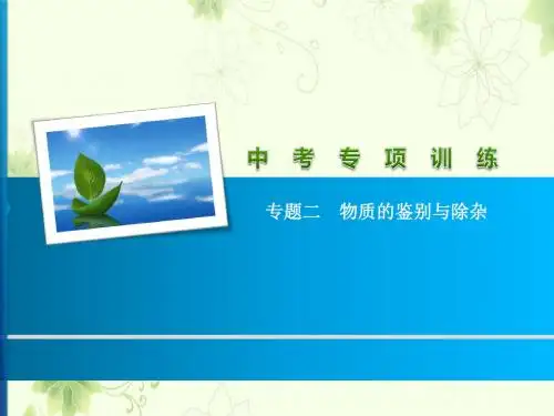 中考化学专题二 物质的鉴别与除杂