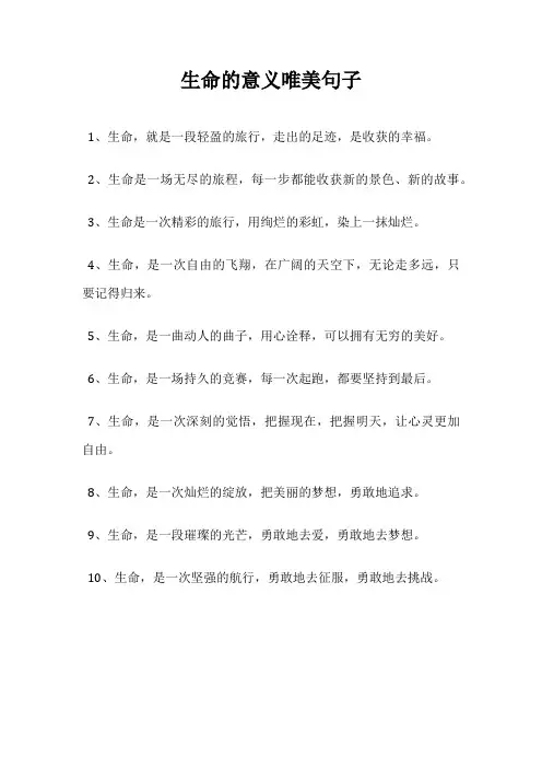 生命的意义唯美句子