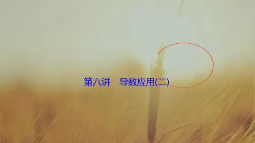 2018届高三数学文高考二轮复习课件 第一部分 专题一 第六讲 导数应用二 精品