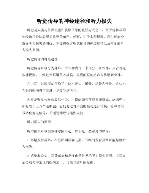 听觉传导的神经途径和听力损失