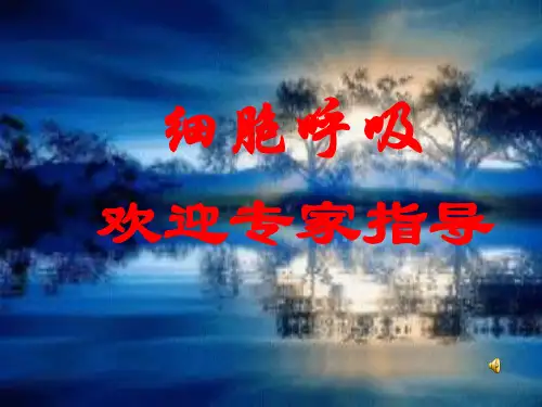 细胞呼吸ppt20 人教课标版精选教学PPT课件
