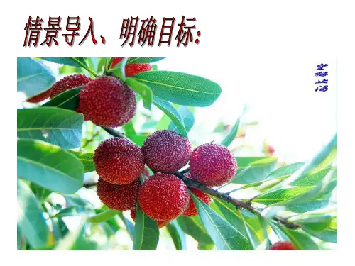 条件反射课件