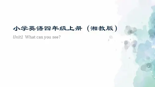 鲁湘版-英语-四年级上册-Unit 1 What can you see 优质课件