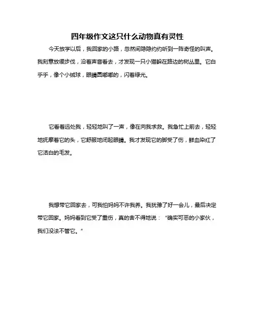 四年级作文这只什么动物真有灵性