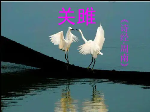 2020年人教版部编版八年级下册《诗经二首·关雎》(共30张PPT)