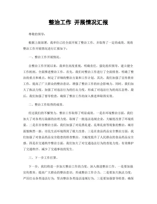 整治工作 开展情况汇报