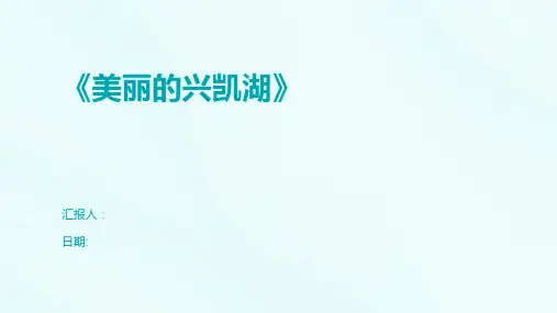 《美丽的兴凯湖》