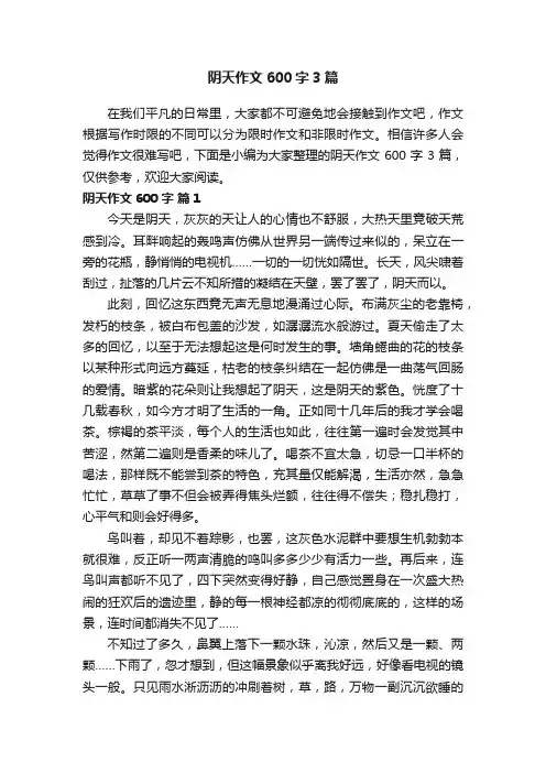 阴天作文600字3篇