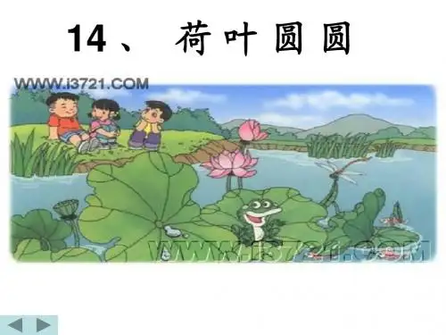 人教版小学语文一年级下册PPT课件荷叶圆圆