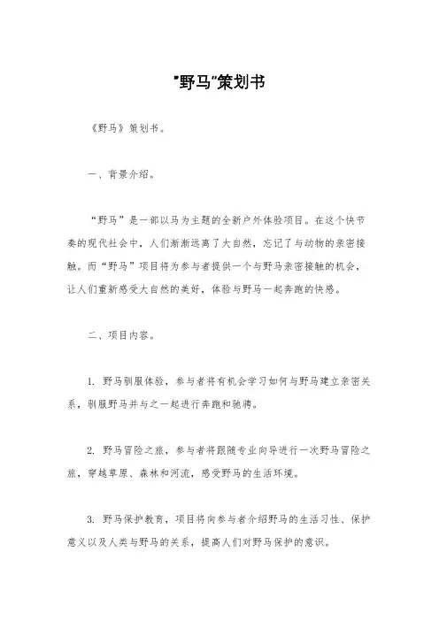 ”野马“策划书