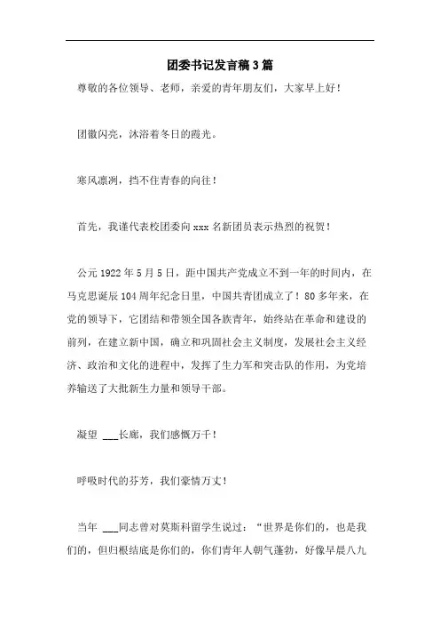 团委书记发言稿3篇