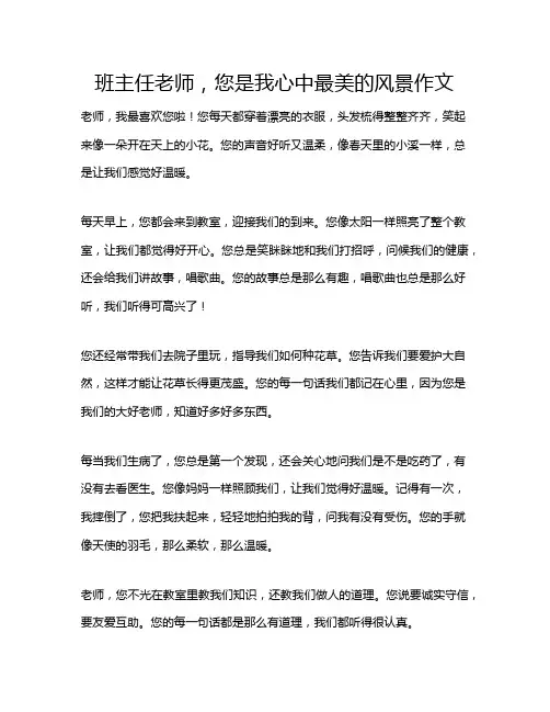 班主任老师,您是我心中最美的风景作文