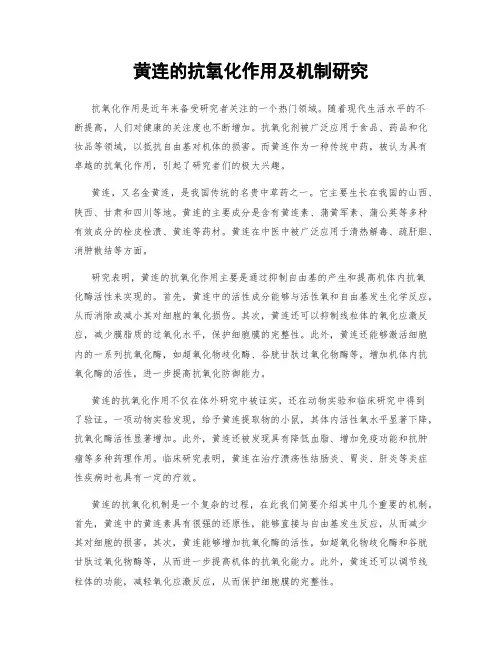 黄连的抗氧化作用及机制研究