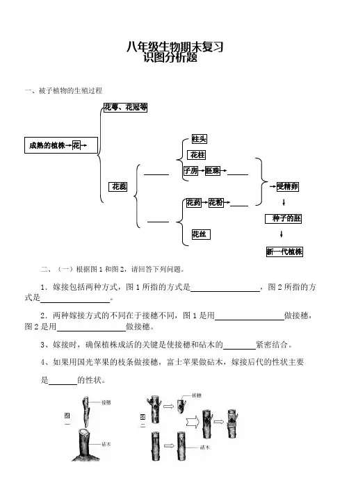 八下生物识图