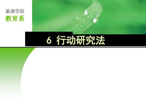 第六章行动研究ppt