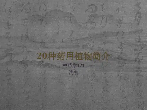 20种药用植物简介