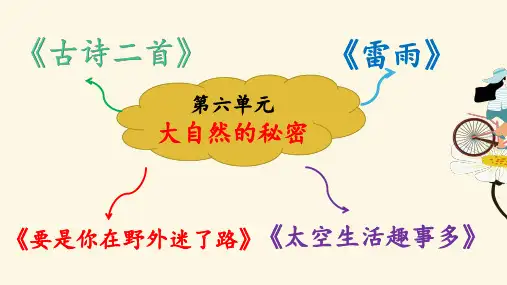 二年级下册语文课件-第六单元复习16课17课  人教部编版  (共11张PPT)