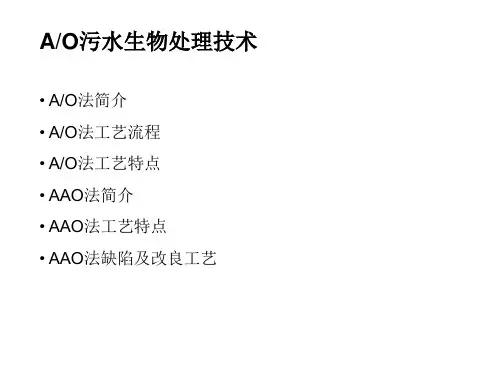 ao处理工艺优秀课件