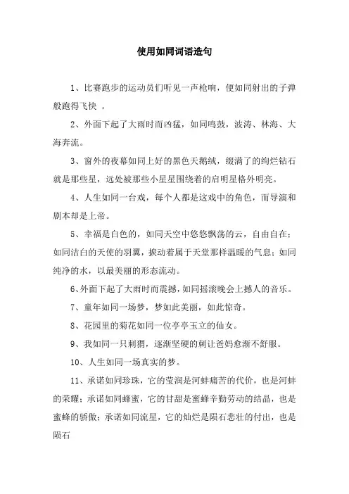 使用如同词语造句