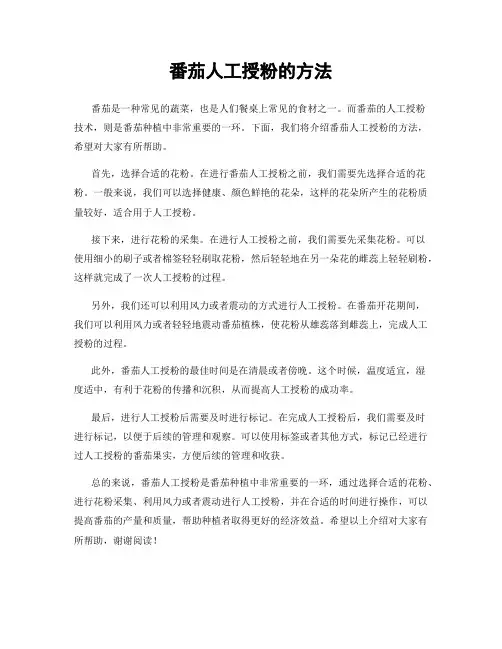 番茄人工授粉的方法