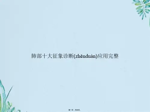 肺部十大征象诊断应用完整【66页】