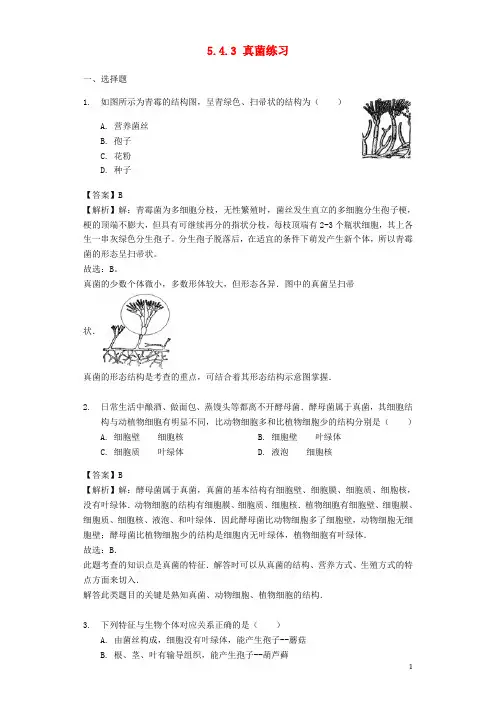最新学年八年级生物上册 5.4.3 真菌练习(含解析)(新版)新人教版(考试必备)