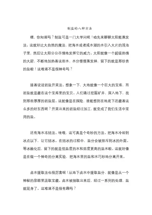 制盐的八种方法