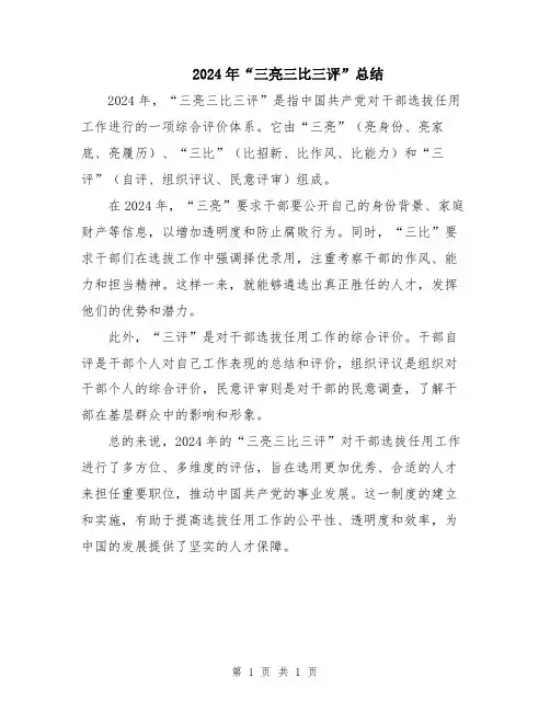 2024年“三亮三比三评”总结