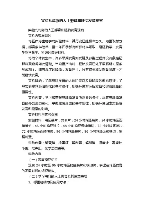 实验九鸡卵的人工孵育和胚胎发育观察