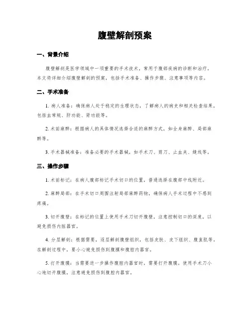 腹壁解剖预案