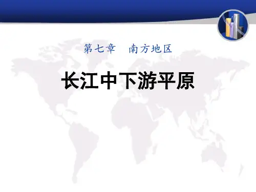 《长江中下游平原》(最新)ppt下载