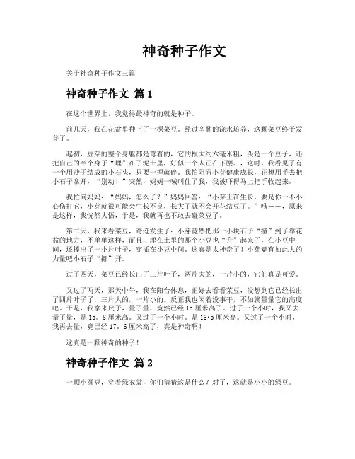 神奇种子作文