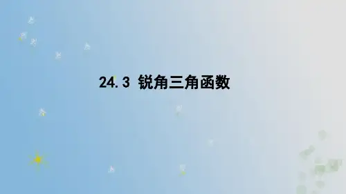 24.3 锐角三角函数 (课件)2024-2025-华东师大版数学九年级上册