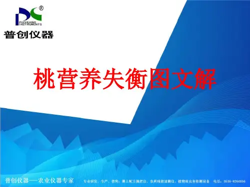 桃营养失衡图文解——桃树缺素症状图