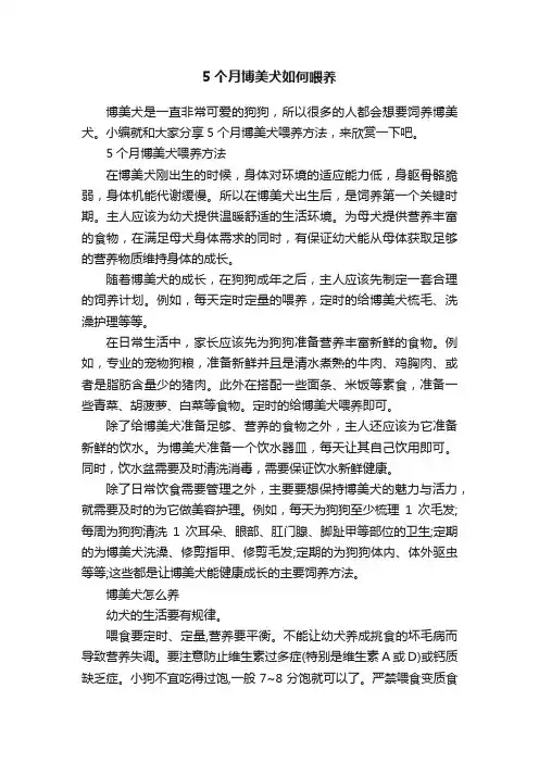 5个月博美犬如何喂养