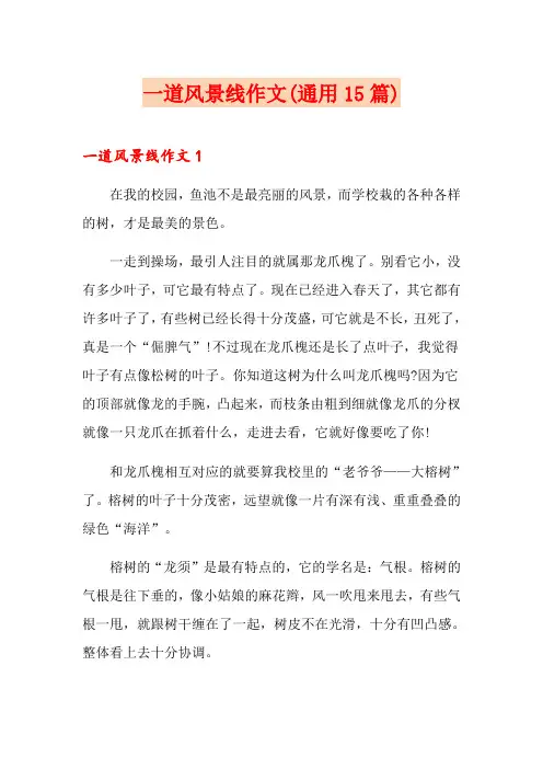 一道风景线作文(通用15篇)